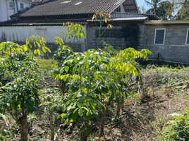  Grundstück zu verkaufen in Takua Thung, Phangnga, Khok Kloi, Takua Thung, Phangnga