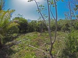  Grundstück zu verkaufen in Utila, Bay Islands, Utila