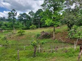  Land for sale in Matina, Limon, Matina