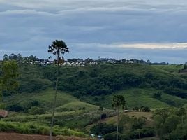  Grundstück zu verkaufen in Khao Kho, Phetchabun, Khao Kho