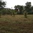  Land for sale in Thalang, Phuket, Si Sunthon, Thalang