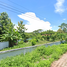  Land for sale in Nam Pua, Wiang Sa, Nam Pua