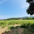  Land for sale in Hua Hin City, Hua Hin, Hua Hin City