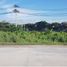  Land for sale in Mueang Lamphun, Lamphun, Mueang Nga, Mueang Lamphun