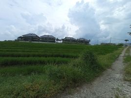  Grundstück zu verkaufen in Badung, Bali, Canggu