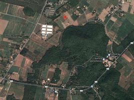  Land for sale in Kanchanaburi, Nong Tak Ya, Tha Muang, Kanchanaburi