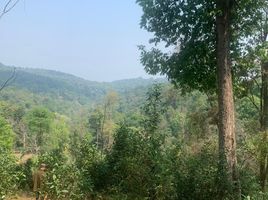  Land for sale in Huai Sai, Mae Rim, Huai Sai