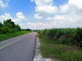  Land for sale in Chai Nat, Suk Duean Ha, Noen Kham, Chai Nat