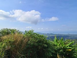  Grundstück zu verkaufen in Koh Samui, Surat Thani, Lipa Noi