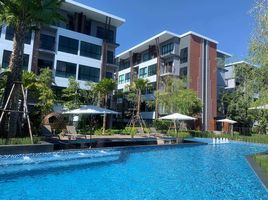 1 Bedroom Apartment for rent at Arise Condo At Mahidol, Pa Daet, Mueang Chiang Mai, Chiang Mai