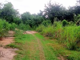  Grundstück zu verkaufen in Mueang Nakhon Sawan, Nakhon Sawan, Bang Phra Luang