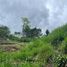  Land for sale in Tarrazu San Jose, Tarrazu