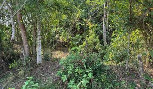 N/A Land for sale in Thep Krasattri, Phuket 