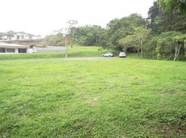  Land for sale in Alajuela, San Ramon, Alajuela