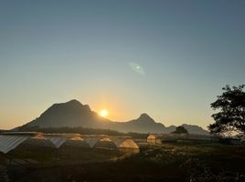  Grundstück zu verkaufen in Wang Saphung, Loei, Khao Luang, Wang Saphung, Loei