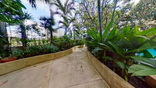 Фото 1 of the Communal Garden Area at The Madison