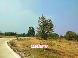  Grundstück zu verkaufen in Pa Sang, Lamphun, Mae Raeng