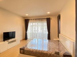 4 Bedroom House for rent at The Grand Park, San Phranet, San Sai, Chiang Mai