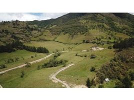  Land for sale in Ecuador, Loja, Loja, Loja, Ecuador