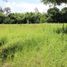  Land for sale in Chiang Mai, Nam Phrae, Hang Dong, Chiang Mai