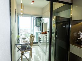 1 Bedroom Condo for rent at Life Sukhumvit 48, Phra Khanong, Khlong Toei, Bangkok