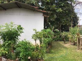 4 Bedroom House for sale at Baan Anusarn Villa, Suthep, Mueang Chiang Mai, Chiang Mai