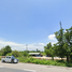  Land for sale in Chai Nat, Suea Hok, Mueang Chai Nat, Chai Nat