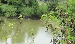 N/A Grundstück zu verkaufen in Oraphim, Nakhon Ratchasima 