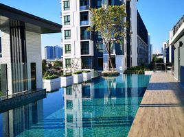 1 Bedroom Condo for rent at Notting Hill Sukhumvit 105, Bang Na, Bang Na