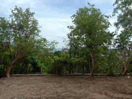  Land for sale in Karon, Phuket Town, Karon