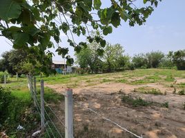  Land for sale in Nang Lae, Mueang Chiang Rai, Nang Lae