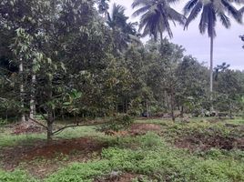  Land for sale in Pa Phayom, Phatthalung, Lan Khoi, Pa Phayom
