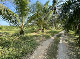  Grundstück zu verkaufen in Takua Thung, Phangnga, Kalai, Takua Thung, Phangnga