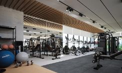 Photos 2 of the Communal Gym at Adhara Star