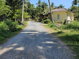  Grundstück zu verkaufen in Koh Samui, Surat Thani, Taling Ngam