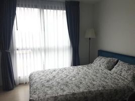 1 Bedroom Condo for rent at The Excel Hybrid, Bang Na, Bang Na