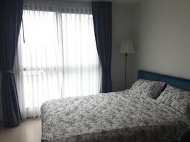 1 Bedroom Apartment for rent at The Excel Hybrid, Bang Na