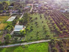  Grundstück zu verkaufen in San Sai, Chiang Mai, Mae Faek, San Sai, Chiang Mai