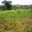  Land for sale in Greater Accra, Accra, Greater Accra