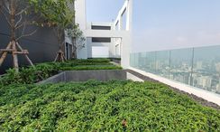 写真 3 of the Communal Garden Area at Ramada Plaza By Wyndham Bangkok Sukhumvit 48