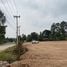  Land for sale in Mueang Prachin Buri, Prachin Buri, Non Hom, Mueang Prachin Buri