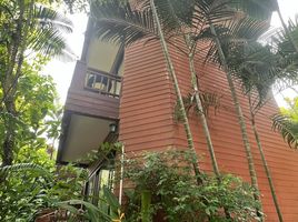 20 Bedroom Whole Building for sale in Chaweng Beach, Bo Phut, Bo Phut