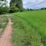  Land for sale in Mueang Nan, Nan, Thuem Tong, Mueang Nan