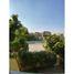 3 Bedroom Apartment for sale at Palm Parks Palm Hills, South Dahshur Link