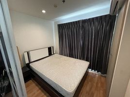 1 Schlafzimmer Appartement zu verkaufen im Lumpini Park Nawamin-Sriburapha, Nawamin, Bueng Kum