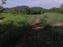  Land for sale in Si Songkhram, Wang Saphung, Si Songkhram