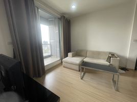 2 Schlafzimmer Appartement zu vermieten im Rhythm Sukhumvit 50, Phra Khanong