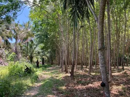  Grundstück zu verkaufen in Ko Yao, Phangnga, Ko Yao Yai, Ko Yao