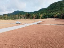  Grundstück zu verkaufen in Koh Samui, Surat Thani, Maenam