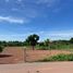  Land for sale in Nong Pling, Kamphaeng Phet, Nong Pling, Mueang Kamphaeng Phet, Kamphaeng Phet